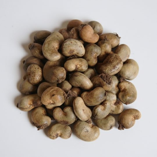 Điều thô chưa tách vỏ