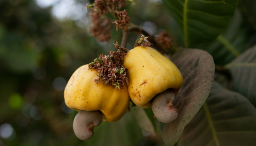 thao-nguyen-kien-tao-gia-tri-ben-vung